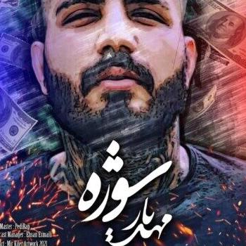 من یکی از همین یوز پلنگای پایین شهرم مهدیار