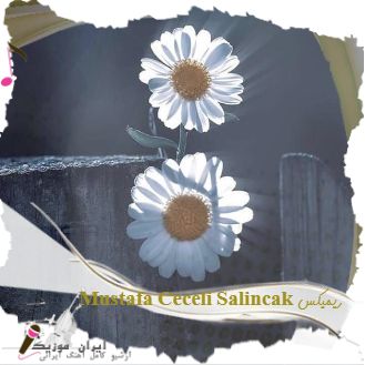 دانلود آهنگ Mustafa Ceceli به نام Salincak + ریمیکس