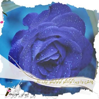 دانلود آهنگ چالش وا ویدا گوگانگو گوگوگینگو تیک تاک دانلود آهنگ چالش وا ویدا گوگانگو گوگوگینگو تیک تاک