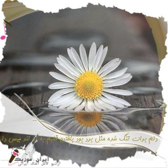 دانلود آهنگ دلم برات تنگ شده مثل برد بود باختن قلبم به تو ریمیکس تند بیس دار