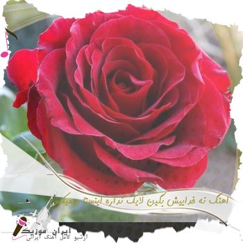 دانلود اهنگ نه خداییش بگین لایک نداره به هیچ عنوان جدی میفرمایین اینستا ریمیکس دانلود اهنگ نه خداییش بگین لایک نداره به هیچ عنوان جدی میفرمایین اینستا ریمیکس