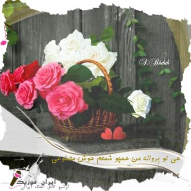 دانلود آهنگ هی تو پروانه من همچو شمعم که از رفتن تو بسوزم هایده معین ( هوش مصنوعی )