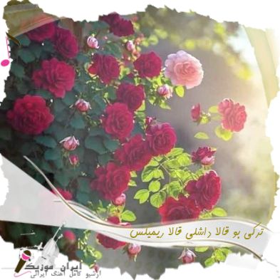 دانلود آهنگ ترکی بو قالا داشلی قالا (Bu Gala Daşlı Gala) ریمیکس اینستاگرام دانلود آهنگ ترکی بو قالا داشلی قالا (Bu Gala Daşlı Gala) ریمیکس اینستاگرام
