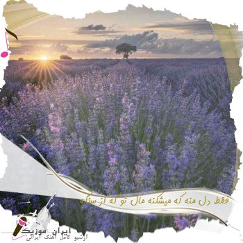 دانلود آهنگ فقط دل منه که میشکنه مال تو که از سنگه دانلود آهنگ فقط دل منه که میشکنه مال تو که از سنگه